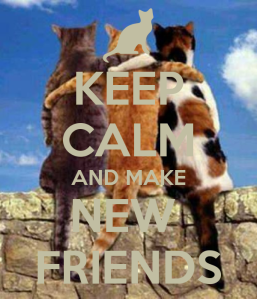 keep-calm-and-make-new-friends-9